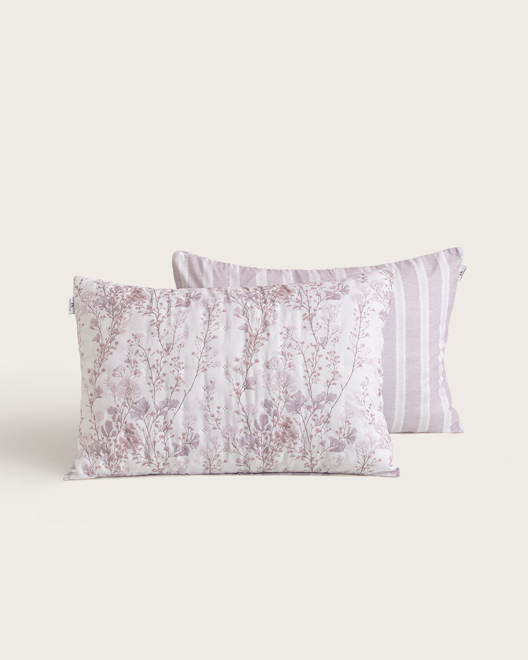 BOUTY DIGITAL DON ALGODON LIBIA