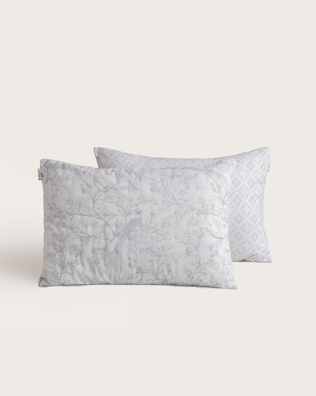 BOUTY DIGITAL DON ALGODON DALEIA